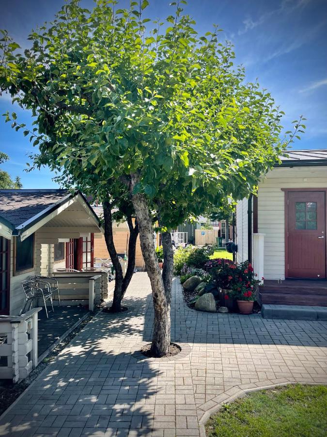 Aleksandri Guesthouse 페르누 외부 사진